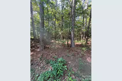 0 Ore Bank Road #4, Smyrna, SC 29743 - Photo 2