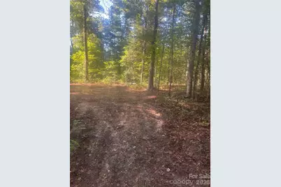 0 Ore Bank Road #4, Smyrna, SC 29743 - Photo 4