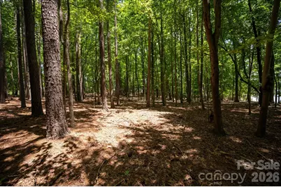 3920 Concord Drive, York, SC 29745 - Photo 16