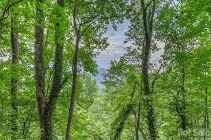 212 Torda Trce, Waynesville, NC 28786 - Photo 4