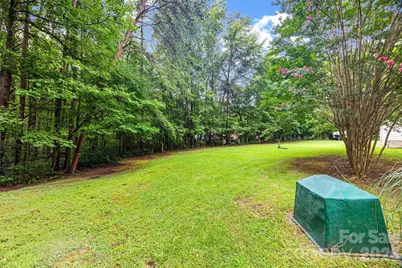 4335 Fermount Drive, York, SC 29745 - Photo 38