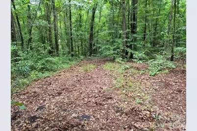 3231 Shadybark Trail, Catawba, SC 29704 - Photo 2