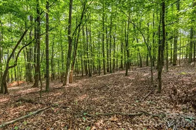 149 Mossy Oak Trail #167, Nebo, NC 28761 - Photo 4