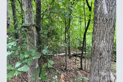 00 Chisholm Trail, Rutherfordton, NC 28139 - Photo 8