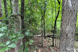 00 Chisholm Trail, Rutherfordton, NC 28139 - Photo 8
