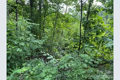 00 Chisholm Trail, Rutherfordton, NC 28139 - Photo 10