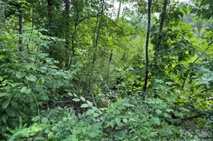 00 Chisholm Trail, Rutherfordton, NC 28139 - Photo 10