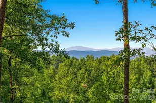 207 Mossy Oak Trail, Nebo, NC 28761 - Photo 1