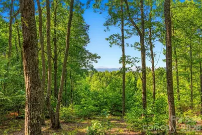 207 Mossy Oak Trail #166, Nebo, NC 28761 - Photo 10