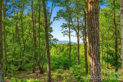 207 Mossy Oak Trail #166, Nebo, NC 28761 - Photo 6