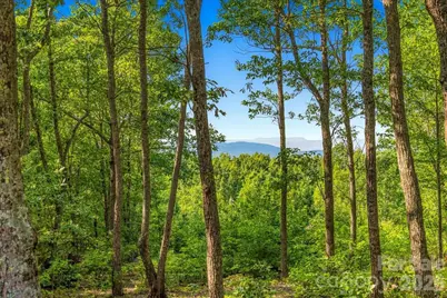 207 Mossy Oak Trail #166, Nebo, NC 28761 - Photo 4