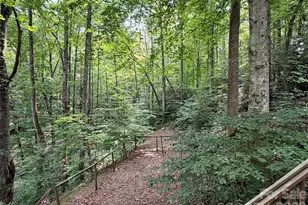 475 Mountain Forest Estate, Sylva, NC 28779 - Photo 16