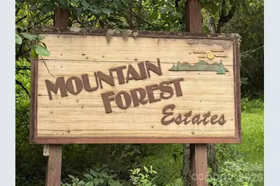 475 Mountain Forest Estate, Sylva, NC 28779 - Photo 2