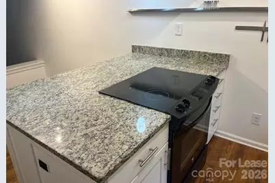433 W 8th Street, Charlotte, NC 28202 - Photo 14