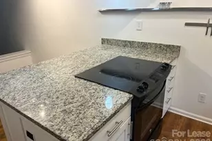 433 W 8th St, Charlotte, NC 28202 - Photo 14