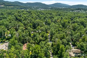 122 Stuyvesant Rd, Asheville, NC 28803 - Photo 6