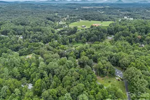 18 Buckle Ridge, Weaverville, NC 28787 - Photo 42