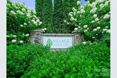 35 Macallan Lane, Asheville, NC 28805 - Photo 40