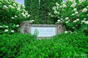35 Macallan Ln, Asheville, NC 28805 - Photo 40