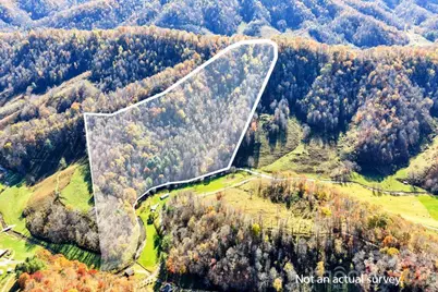 Tbd E Little Horse Creek Road, Lansing, NC 28643 - Photo 2