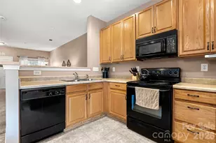207 Tail Race Ln, Fort Mill, SC 29715 - Photo 8