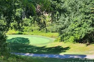 124 Huntington Rd, Lake Lure, NC 28746 - Photo 24