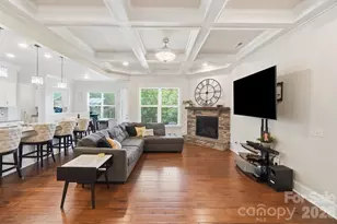 12726 Rusty Blackbird Wy, Charlotte, NC 28278 - Photo 10