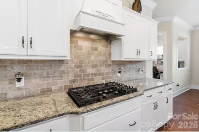 12726 Rusty Blackbird Way, Charlotte, NC 28278 - Photo 14