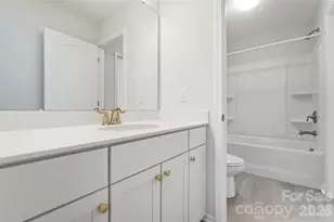 1136 Dorsey Dr, Fort Mill, SC 29715 - Photo 38