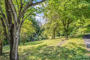 238 Howell Rd, Lake Lure, NC 28746 - Photo 4