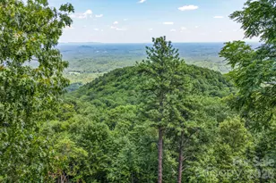155 Hickory Nut Ln, Lake Lure, NC 28746 - Photo 46
