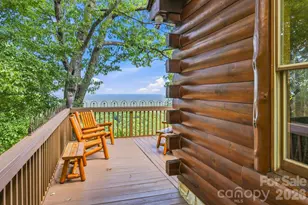 155 Hickory Nut Ln, Lake Lure, NC 28746 - Photo 2