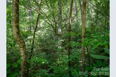 M11 Pine Mountain Trail, Brevard, NC 28712 - Photo 4
