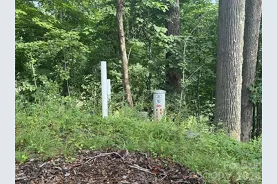 Lot 91 Apple Brandy Way, Burnsville, NC 28714 - Photo 12