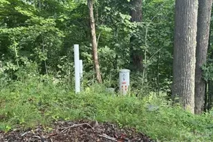 Lot 91 Apple Brandy Way, Burnsville, NC 28714 - Photo 12