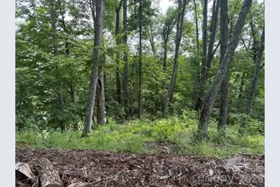 Lot 91 Apple Brandy Way, Burnsville, NC 28714 - Photo 10