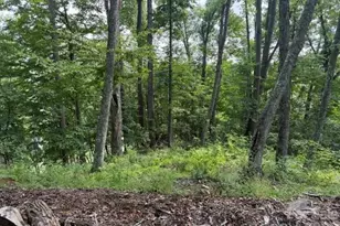 Lot 91 Apple Brandy Way, Burnsville, NC 28714 - Photo 10
