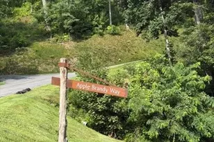 Lot 91 Apple Brandy Way, Burnsville, NC 28714 - Photo 6