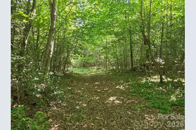 700 Nelson Lane, North Wilkesboro, NC 28659 - Photo 44