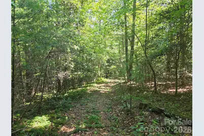 700 Nelson Lane, North Wilkesboro, NC 28659 - Photo 42