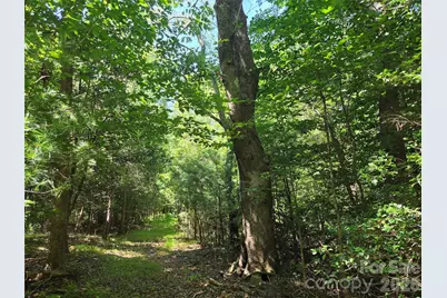 700 Nelson Lane, North Wilkesboro, NC 28659 - Photo 4