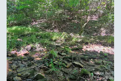700 Nelson Lane, North Wilkesboro, NC 28659 - Photo 26