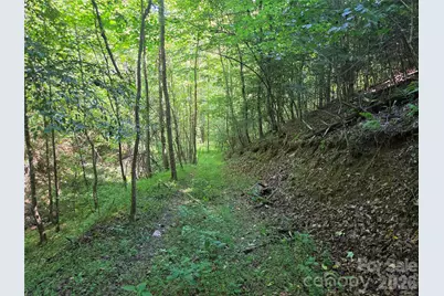 700 Nelson Lane, North Wilkesboro, NC 28659 - Photo 28