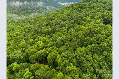 Tbd Hemlock Circle #132, Black Mountain, NC 28711 - Photo 20