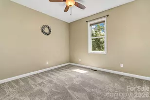14 New Bishop Ln, Fletcher, NC 28732 - Photo 26