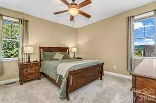 14 New Bishop Ln, Fletcher, NC 28732 - Photo 20