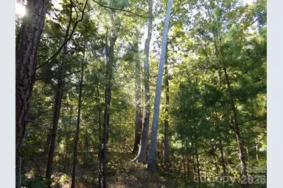 25 Ac Brandon Road, Clover, SC 29710 - Photo 6