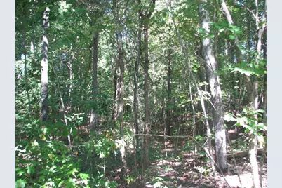 25 Ac Brandon Road, Clover, SC 29710 - Photo 4