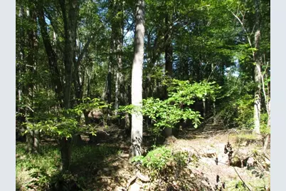 25 Ac Brandon Road, Clover, SC 29710 - Photo 2