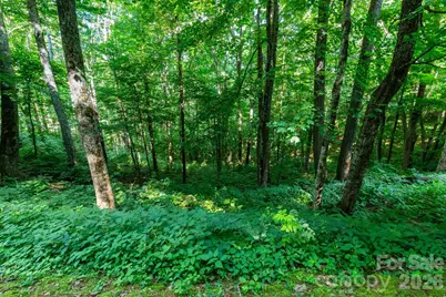Lot 25 Finlaystone Trace #25, Waynesville, NC 28786 - Photo 2